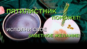 Исполни Свою Мечту! Пятилистник Поможет!