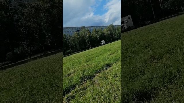 Противная погода, но лето