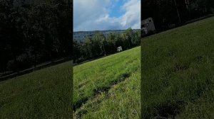 Противная погода, но лето