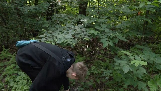 Трудовое лето: школьники Ивантеевки убирают леса и зарабатывают первые деньги