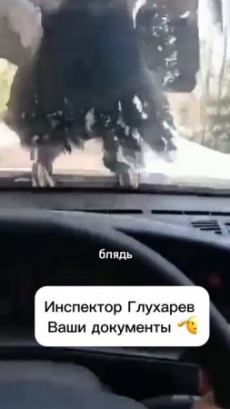 Инспектор Глухарев.