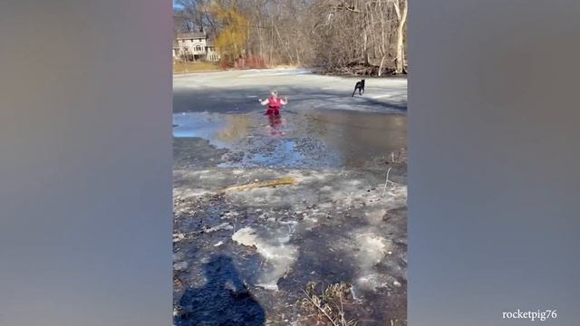 10-Минутное Видео Со смешными собаками, Которое Заставит Вас Заволноваться