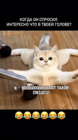Растяжка👍