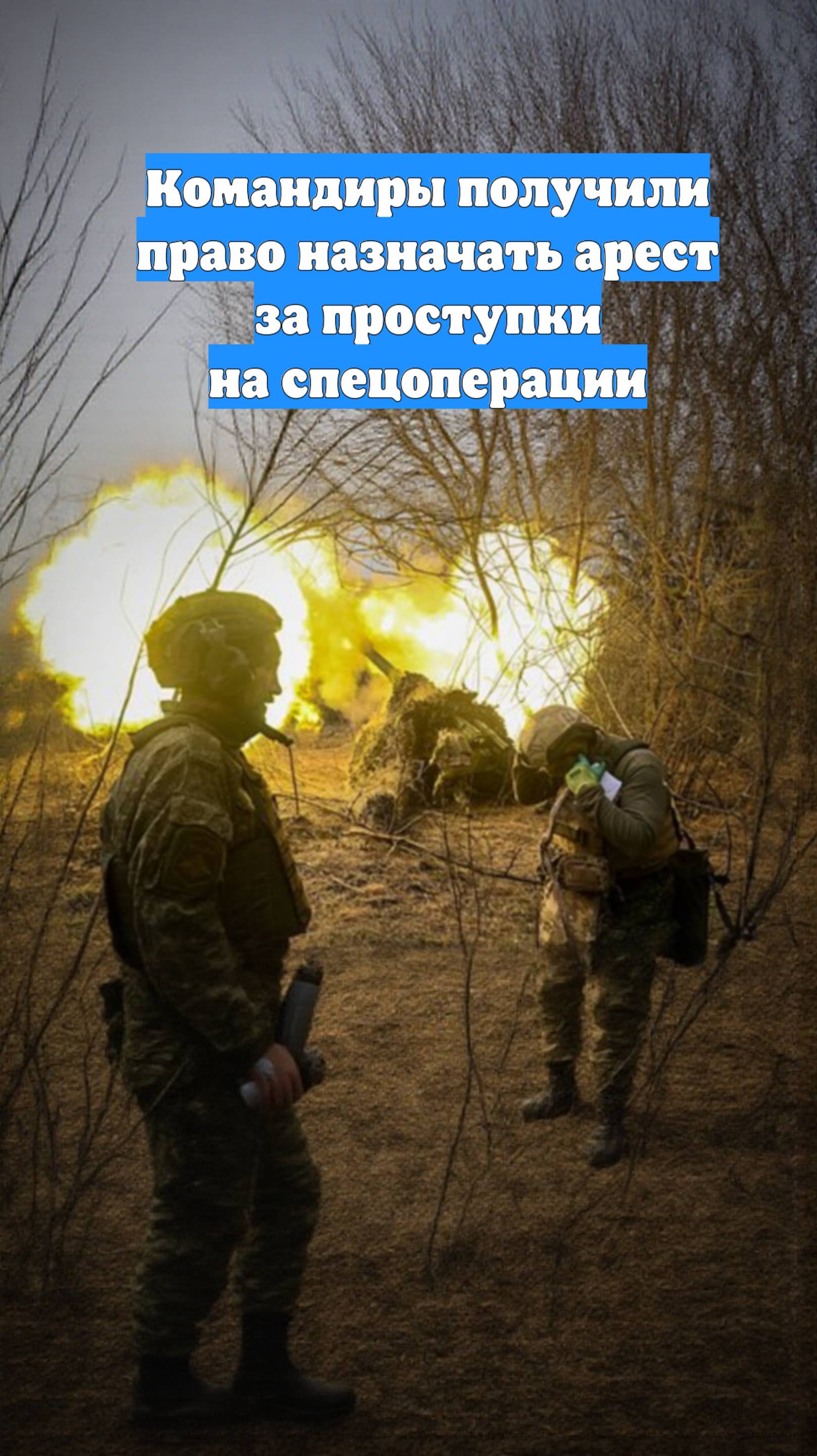 Командиры получили право назначать арест за проступки на спецоперации