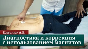 Краниосакральная система. Диагностика и коррекция с использованием магнитов. Циванюк А.В.