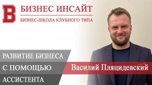БИЗНЕС ИНСАЙТ. Василий Пляцидевский. Системное развитие бизнеса с помощью ассистента