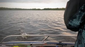 ⚡️ЗЛЫЕ СУДАКИ‼️❗️НАУЧИТЬСЯ не СЛОЖНО - НАЛОВИТЬ ПРОСТО💯 ГАЙДИНГ как он ЕСТЬ☝️