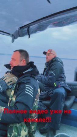 Судак Монстр в темной воде! Полное видео на канале #fishing #music #рыбалка #рекомендации#щука#судак