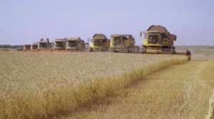 Растениеводство