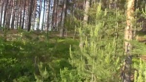 Вело прогулка ч7