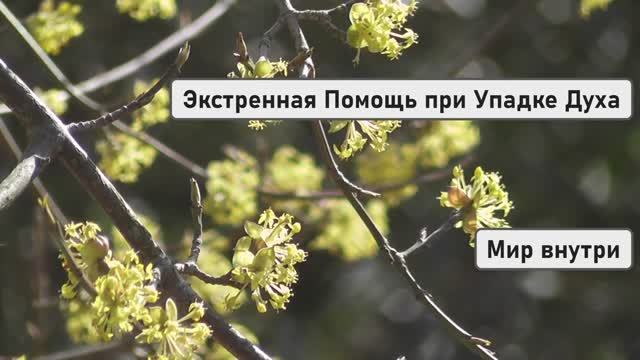 ПРОБУДИ СВОЮ СИЛУ! | Экстренная Помощь при Упадке Духа — Как Выйти из Тьмы к Свету
