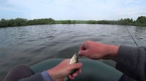 Микроджиг во всей красе! Чесноки