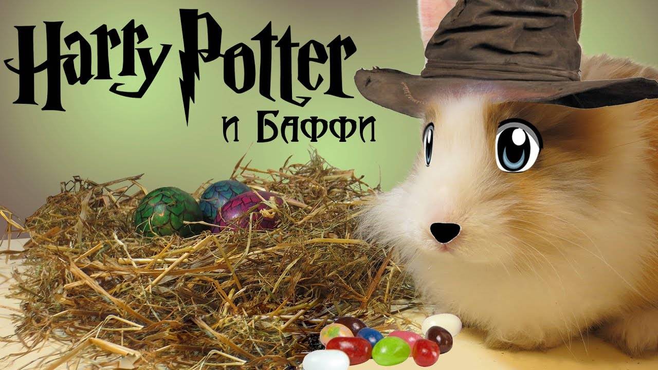 Еда из заклинаний и соусы из кошмаров🔮🧪