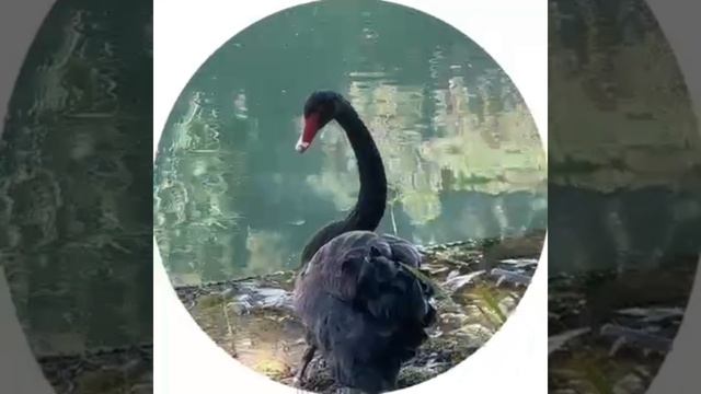 Гипердята решили прикоснуться к природе 🌸