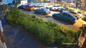 ‼️В ЖК «Люберцы» появилась любительница бесплатных цветов‼️