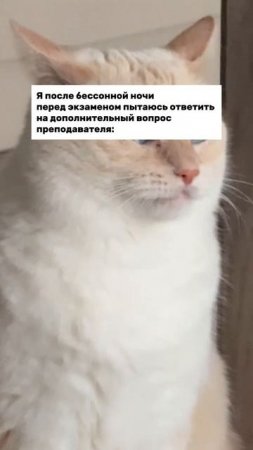 А он просит назвать свои фамилию, имя и отчество...