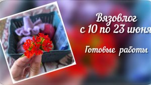 Вязовлог с 10 по 23 июня