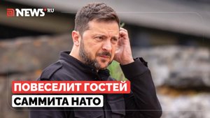 Зеленского позвали на ужин НАТО в качестве шута, заявили в Госдуме