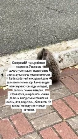 свекровь