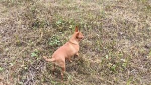 вот это съездили накосить 😄