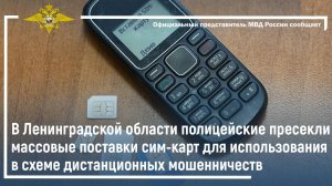 В Ленобласти полицейские пресекли массовые поставки сим-карт для использования в мошенничествах
