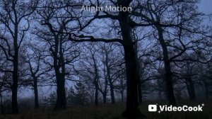 СТРАШИЛКИ - СМЕЮЩИЙСЯ НИК 2 ЧАСТЬ