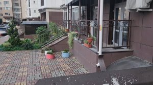 Цветы 💐 возле подъездов в ЖК в Белгороде