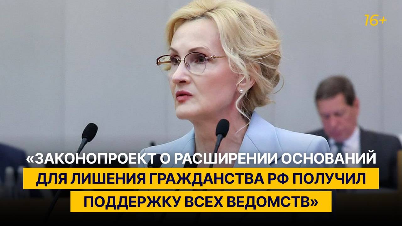 Законопроект о расширении оснований для лишения гражданства РФ получил поддержку всех ведомств