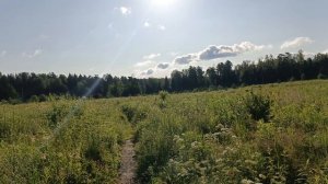 Магнолия