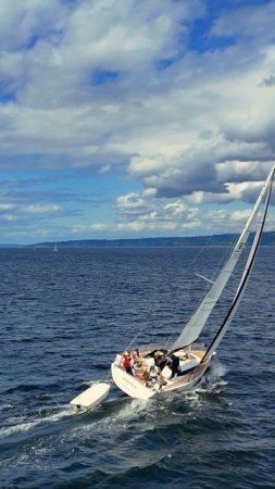 🌊 Sailing Through the Windy Puget Sound ⛵
A true Pacific Northwest moment — strong breeze,
