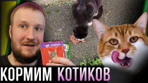 КОРМИМ БЕЗДОМНЫХ КОТИКОВ
