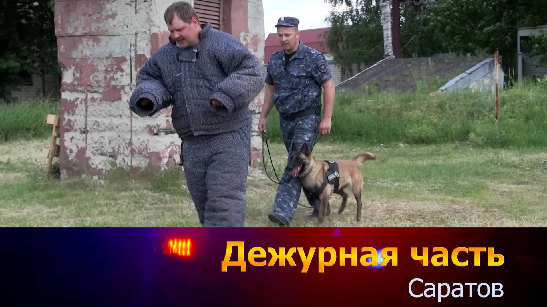 Дежурная часть Саратов-23-06-2025