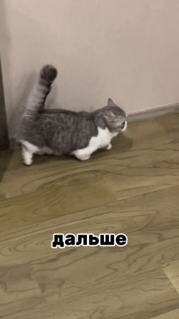 Проверь свою интуицию.