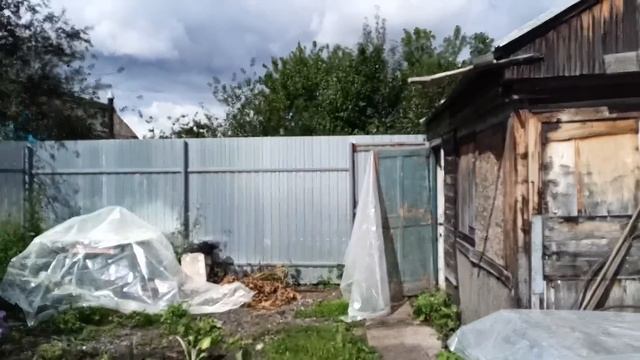 Парник вместо теплицы – мое неожиданное открытие этого сезона! 🌱✨