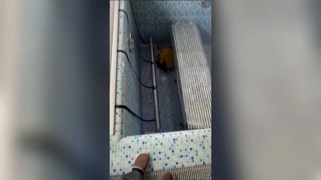 Инструкция ХОББИПУЛ по установке подводного сматывающего устройства скамьи Б2 из круглых труб
