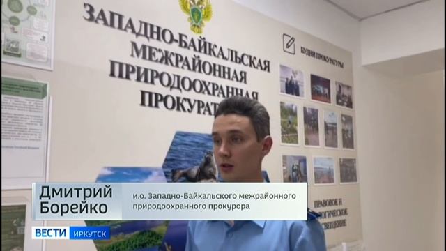 🐻Новый дом ищут волонтеры для медведицы Маши из Листвянки