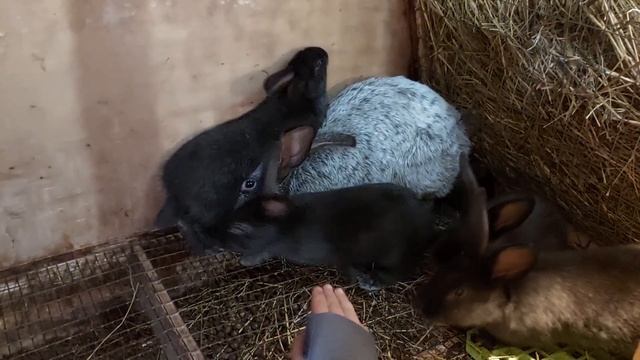 Первое обзорное видео от Васи Заповедный смотреть онлайн