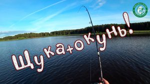 ЩУКА И ОКУНЬ НА СПИННИНГ! РЫБАКОВ БОЛЬШЕ ЧЕМ РЫБЫ В ПРУДУ, В БРОДНЯХ НА ЩУКУ, РЫБАЛКА НА УРАЛЕ!