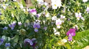 Показываю что творится.mp4