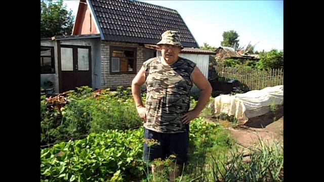 Размножение клубники