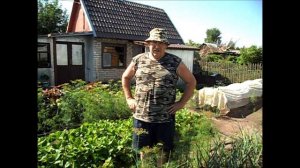 Размножение клубники