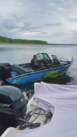 Спасибо Вуокса #fishing #music #рыбалка #рекомендации #паноптикс