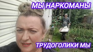 МЫ НАРКОМАНЫ. ТРУДОГОЛИКИ МЫ