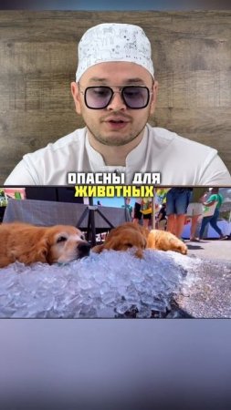 Спасение от перегрева ☀️