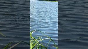 1000020796.mp4