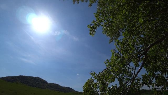 ВЕСЕННЯЯ ВЕНА/ВЕЛОПРОГУЛКА/МАЕВКА/30 АПРЕЛЯ/ВСТРЕТИЛИ БОБРА И МОРЖЕЙ/SPRING VIENNA/CYCLING TRIP/