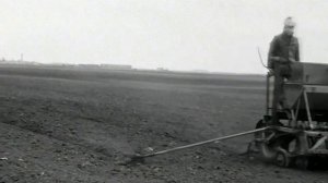 1986 год. Тюменский район. Каскара. На совхозных полях