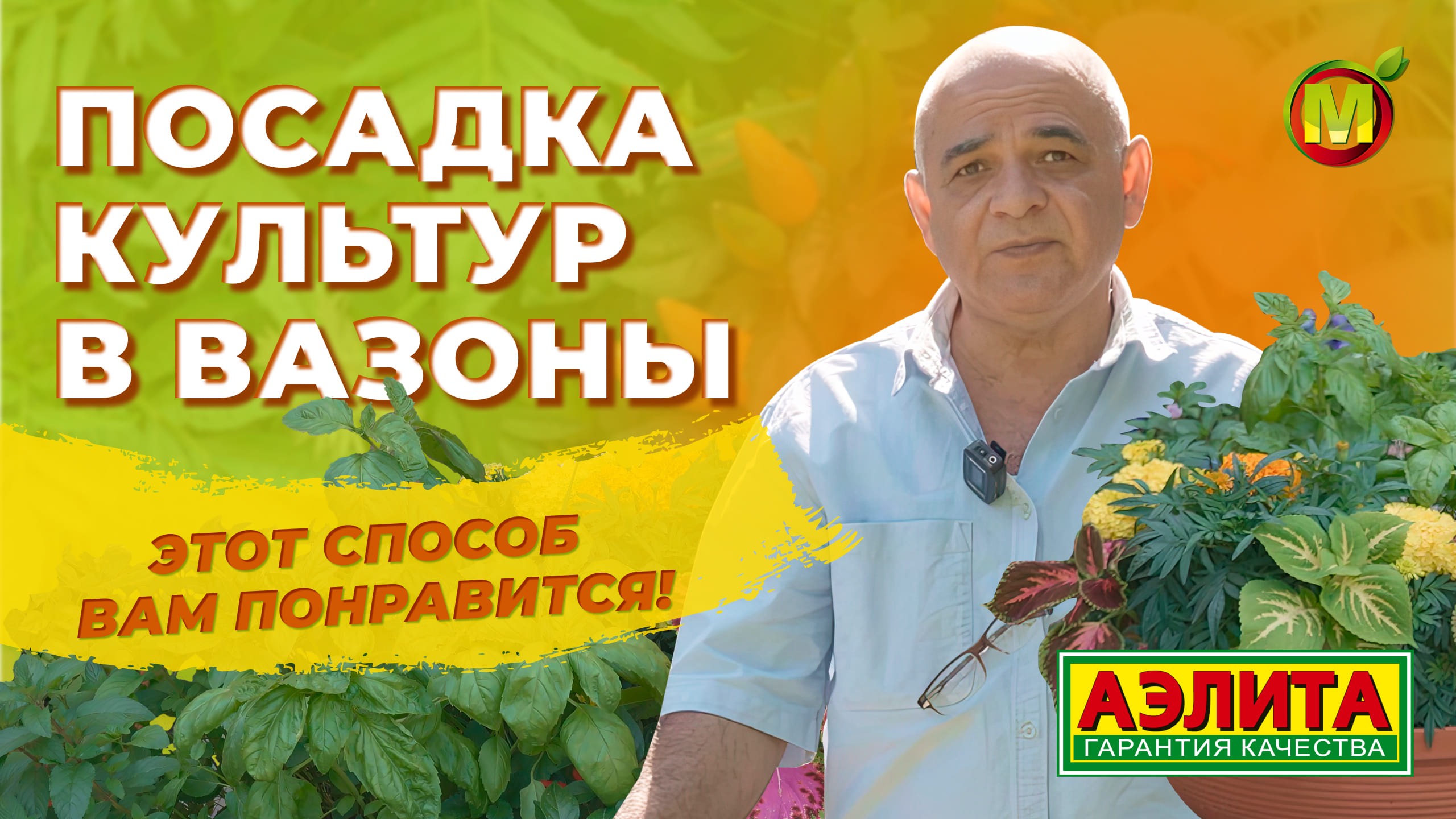 Интересный СПОСОБ ВЫРАЩИВАНИЯ культур в ВАЗОНАХ!