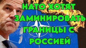 НАТО хочет заминировать границы с Россией
