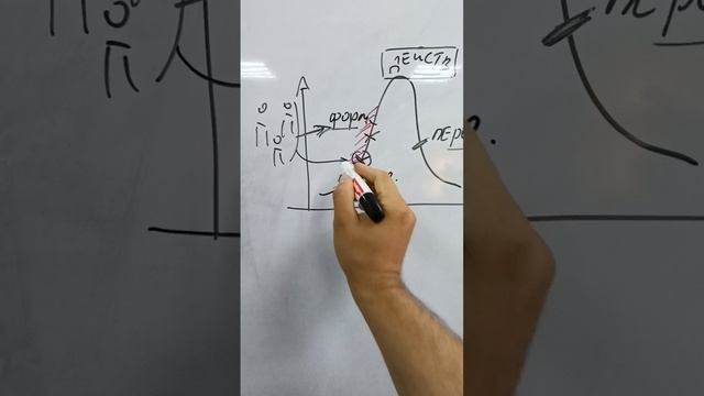 Терапия принятия решений